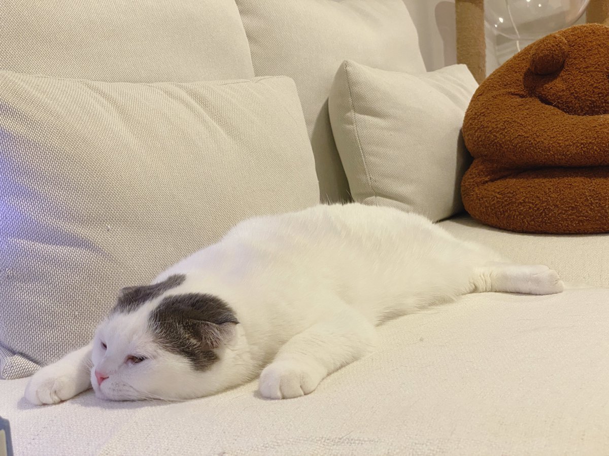 เหน่ยอะไร