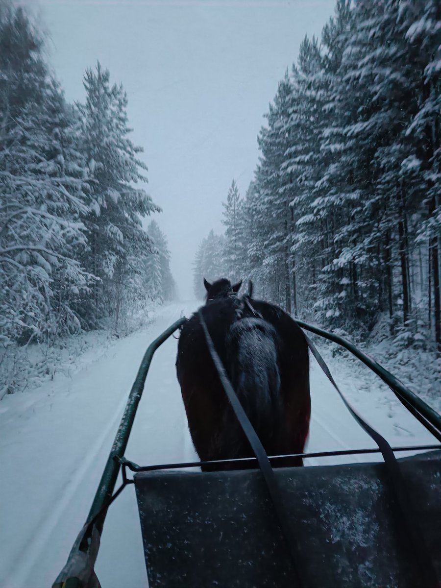 Det snöade från alla olika håll idag. Men har man lyxdag så har man. 
💁🏻‍♀️❄️👌🏻