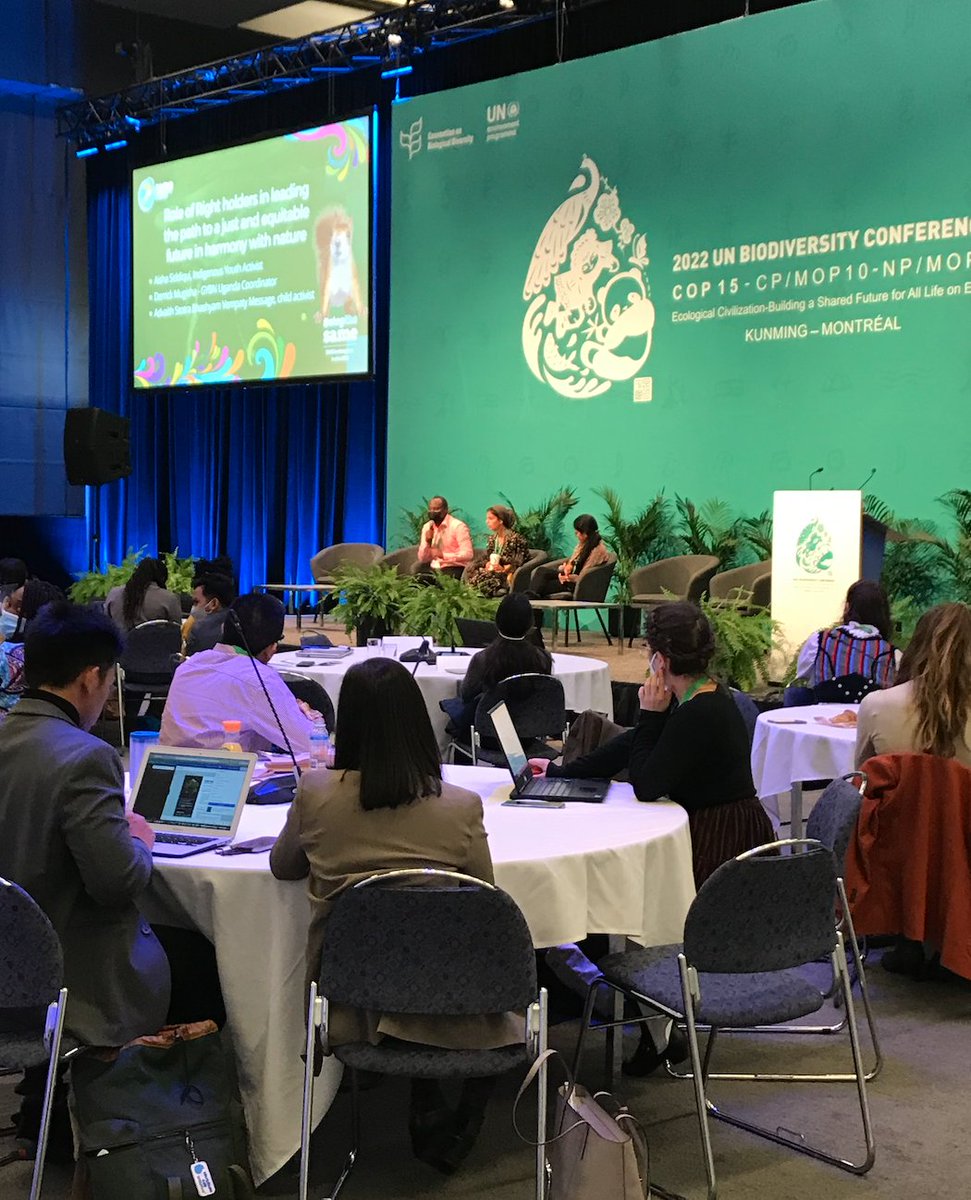GYBN_CBD's tweet photo. Today at #COP15, we're kicking off the first Youth Day! 🌺🌍🍄🐾🐟

We're celebrating young people around the world who are driving transformative change to protect #biodiversity and #StopTheSame. 🌱

Are you at COP 15? Come join us in the Place Québec Auditorium!

#YouthAtCOP15 https://t.co/naPLAtW1bt