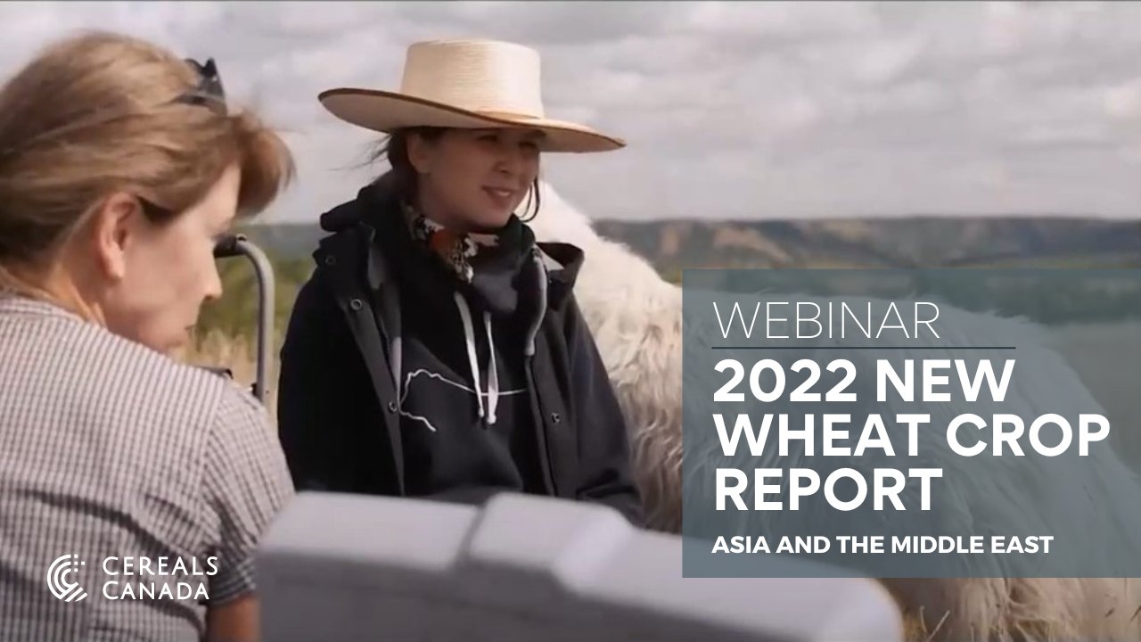 Cereals Canada on Twitter "Did you miss the 2022 New Wheat Crop Report