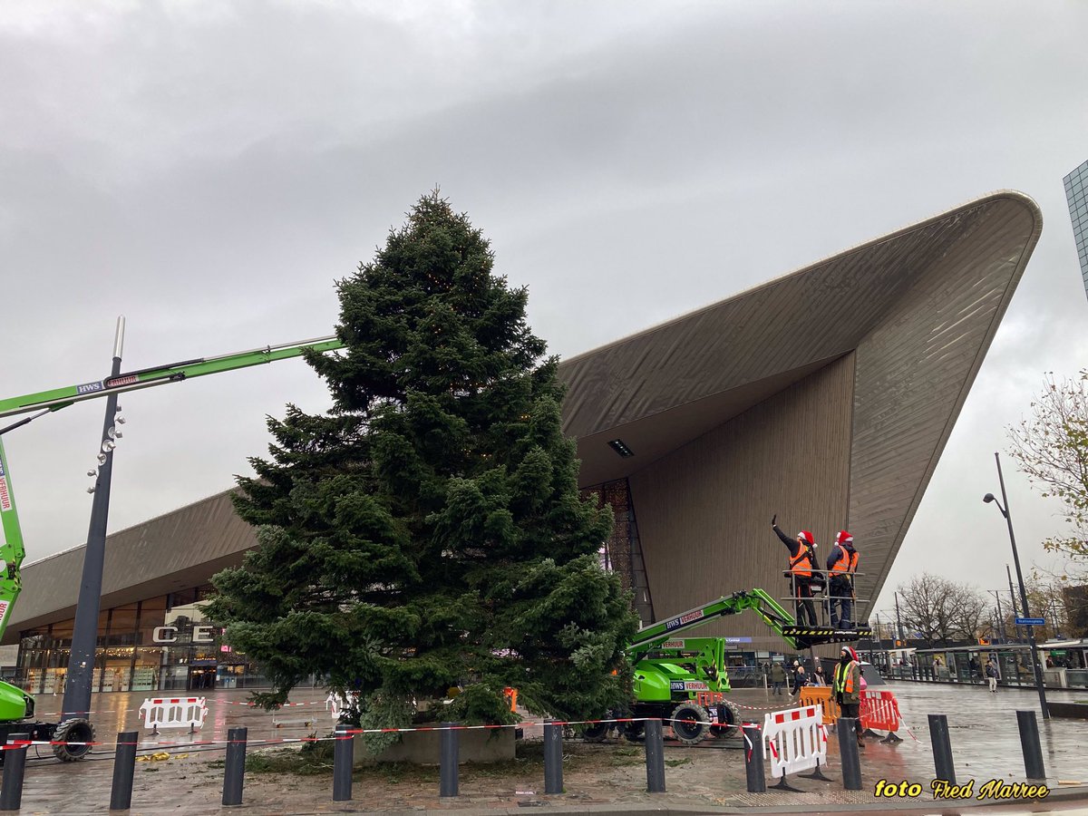 𝔽𝕣𝕖𝕕 𝕄𝕒𝕣𝕣𝕖𝕖 ☼ tweet media