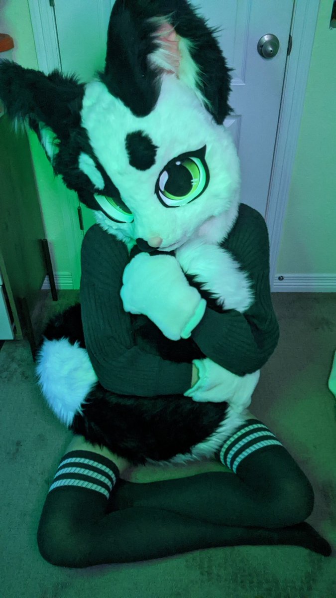 Honeydews_Honey's tweet photo. Feeling cute in Kemkie ✨ https://t.co/ybgj1eN8eS