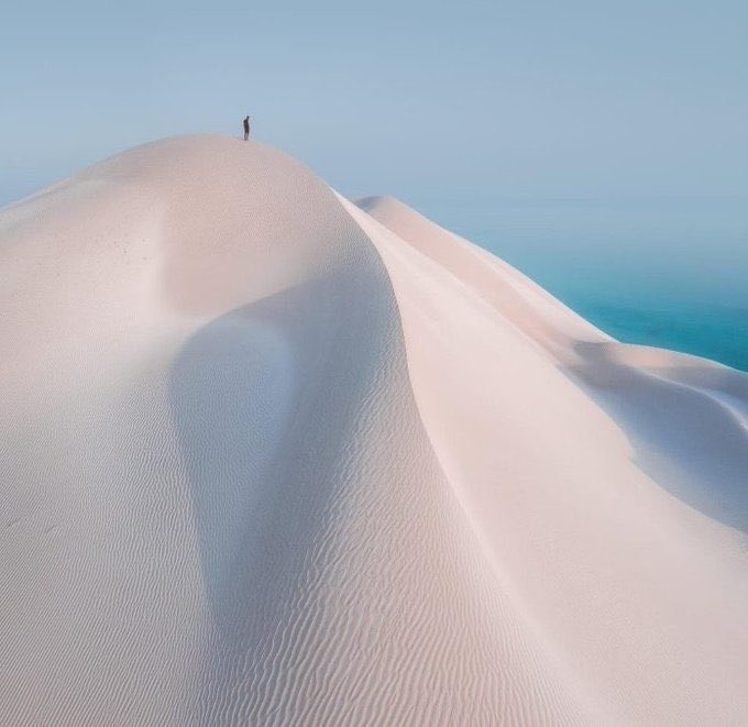 arab11__'s tweet photo. Socotra Island, Yemen https://t.co/L2HR3JNwp4