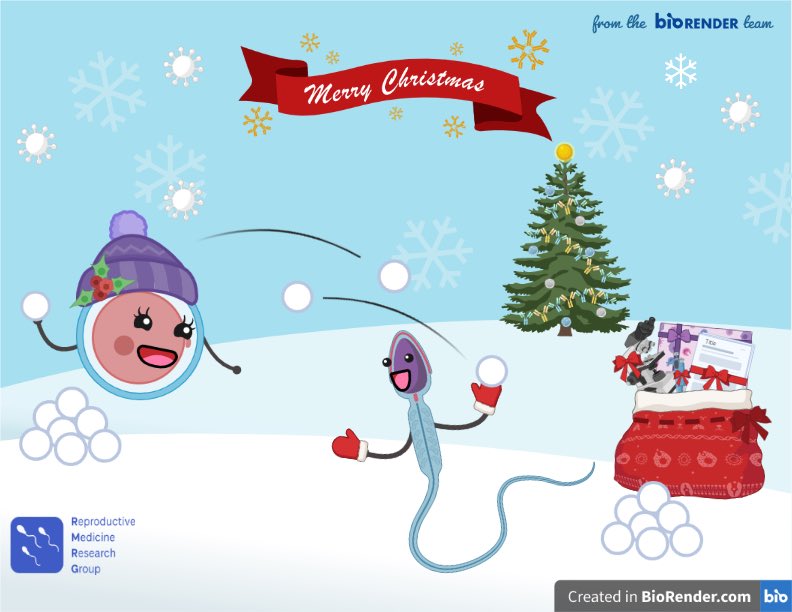 No reproduction-themed office tree this year just yet, but the lab festivities have started with our Christmas card 🎄 #sciencegreetings <a href="/BioRender/">BioRender</a>