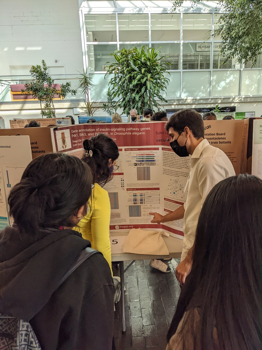 solomonchak's tweet photo. 👏@SUNYOldWestbury  students presented their projects at the Metropolitan Association of College and University Biologists (MACUB) Conference (Nov 2022)

Thiago Figueiredo - Fruit fly gene annotation.
Prashanti Kodali - Comparative Genomics Class Project. https://t.co/KoZV8caoQG
