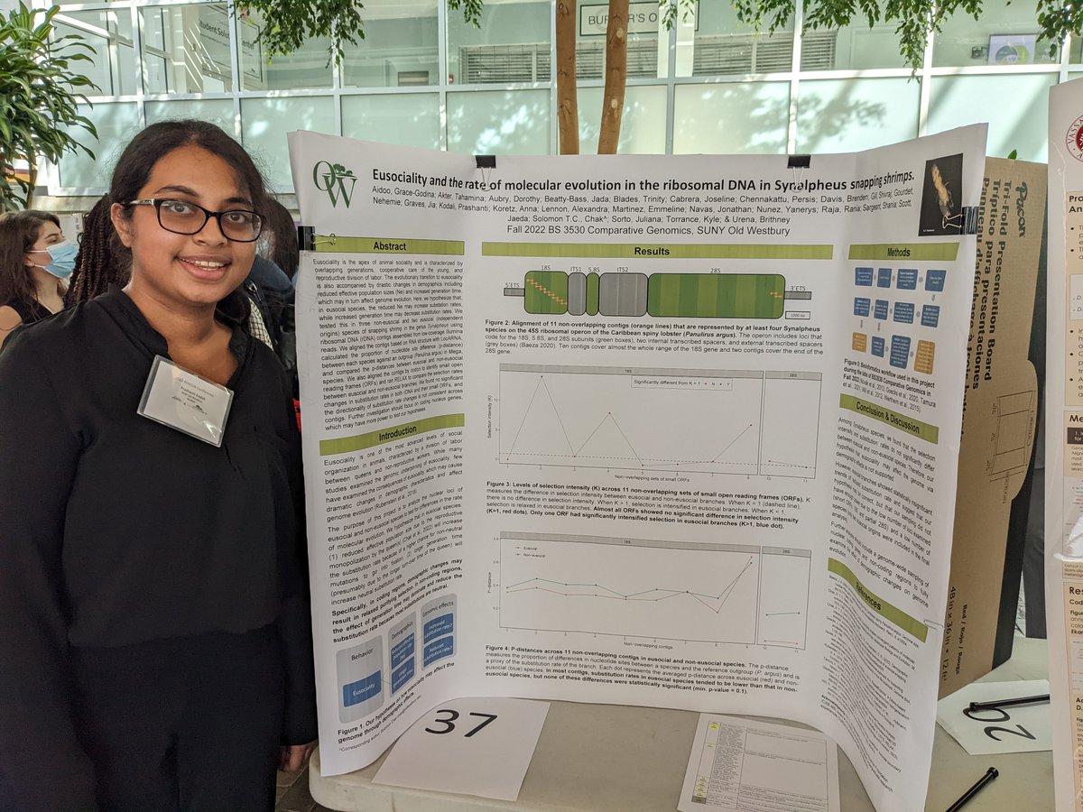 solomonchak's tweet photo. 👏@SUNYOldWestbury  students presented their projects at the Metropolitan Association of College and University Biologists (MACUB) Conference (Nov 2022)

Thiago Figueiredo - Fruit fly gene annotation.
Prashanti Kodali - Comparative Genomics Class Project. https://t.co/KoZV8caoQG