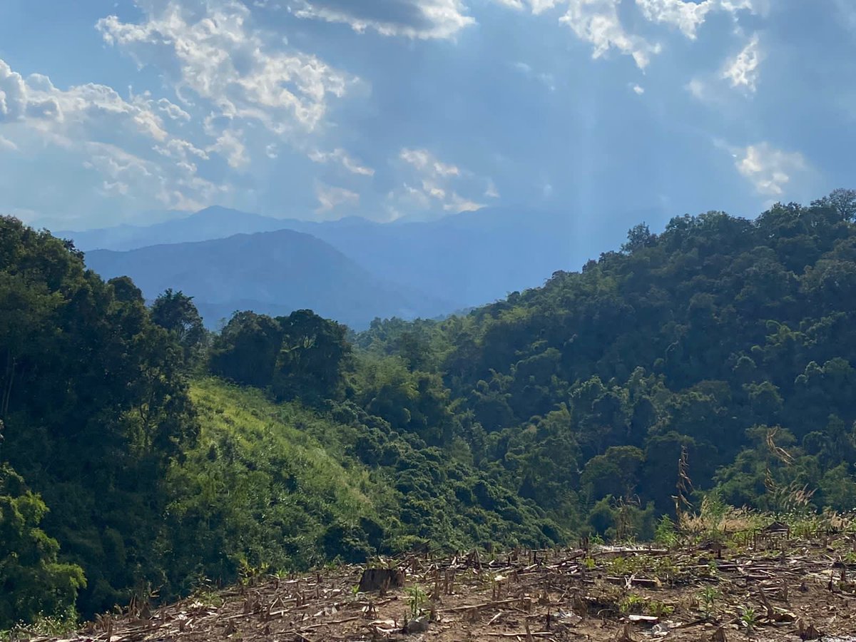 Tracy Crowder-Cloe tweet media