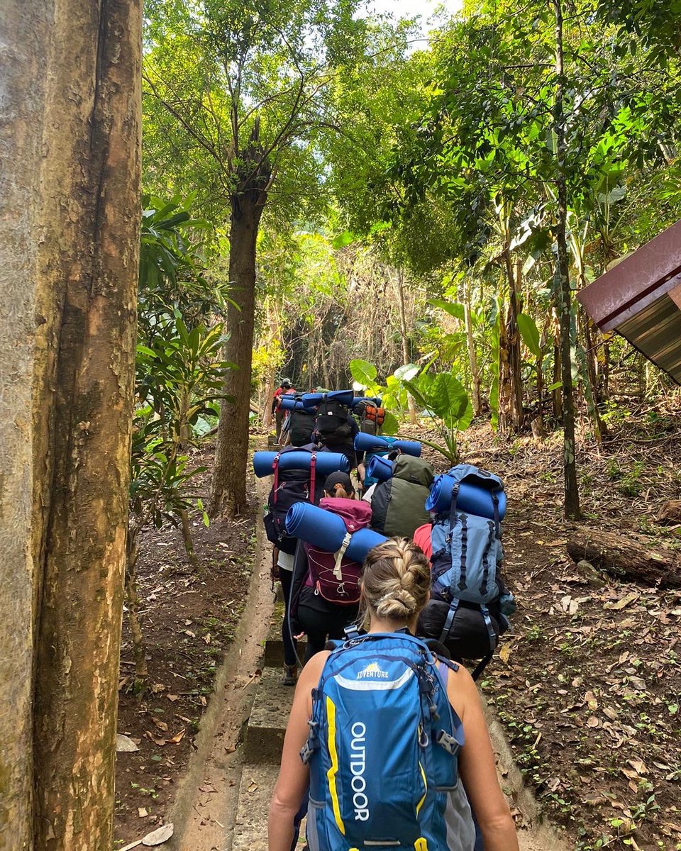 Tracy Crowder-Cloe tweet media