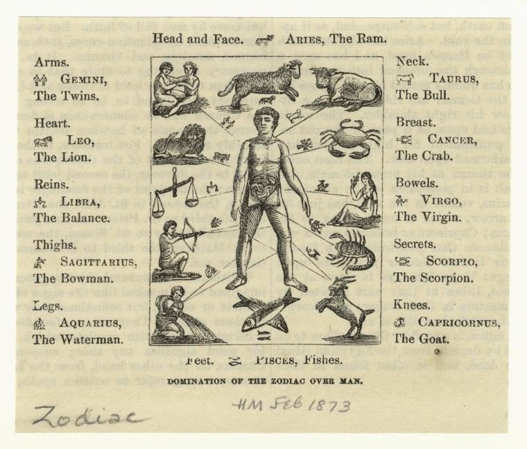 NYPL History & Genealogy tweet media