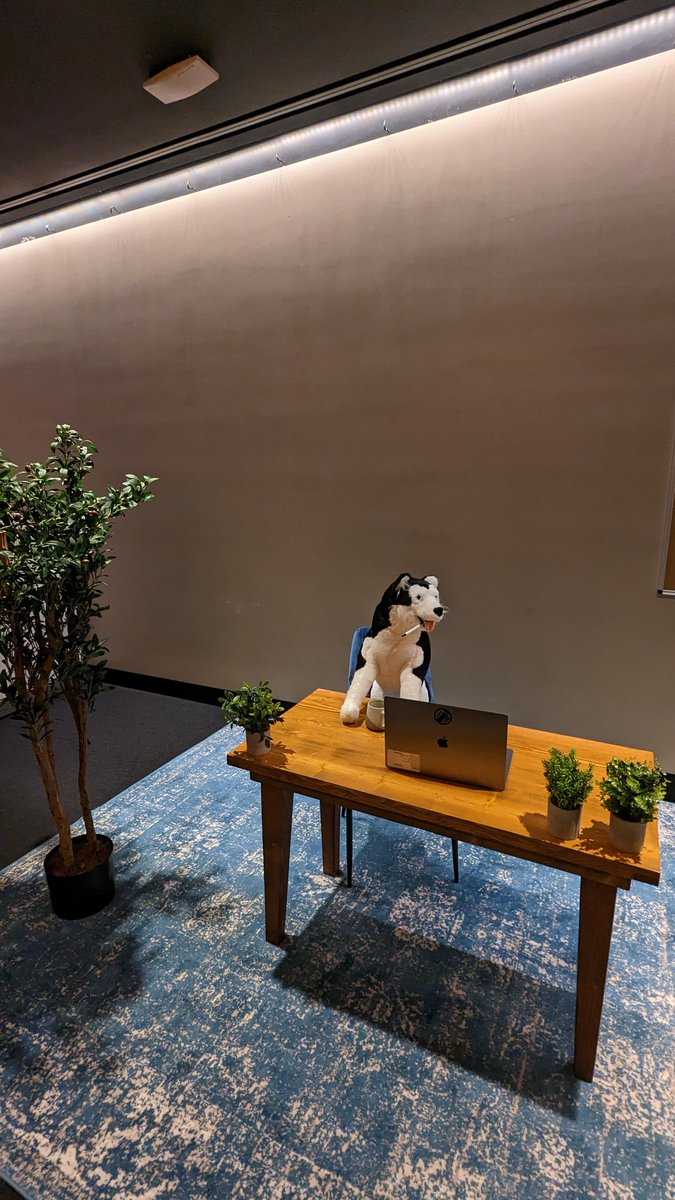 brancenwright's tweet photo. Doggos love #boundaryless https://t.co/qLJIcjY4m4
