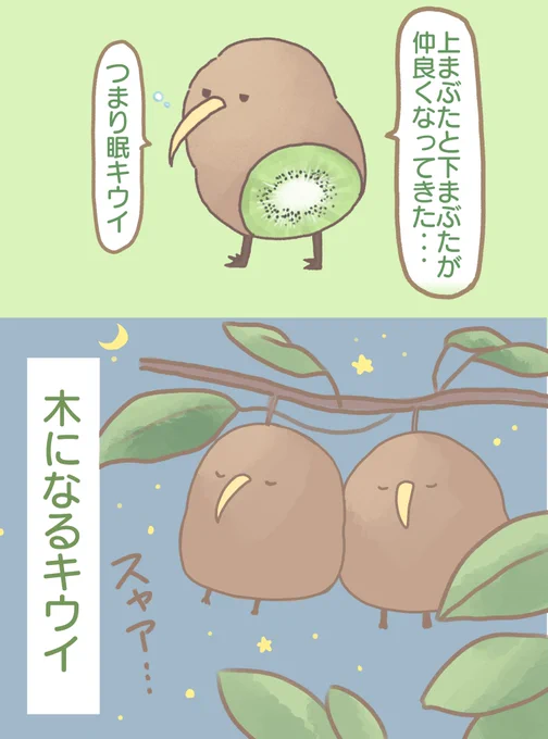 気になるキウイの眠り方 