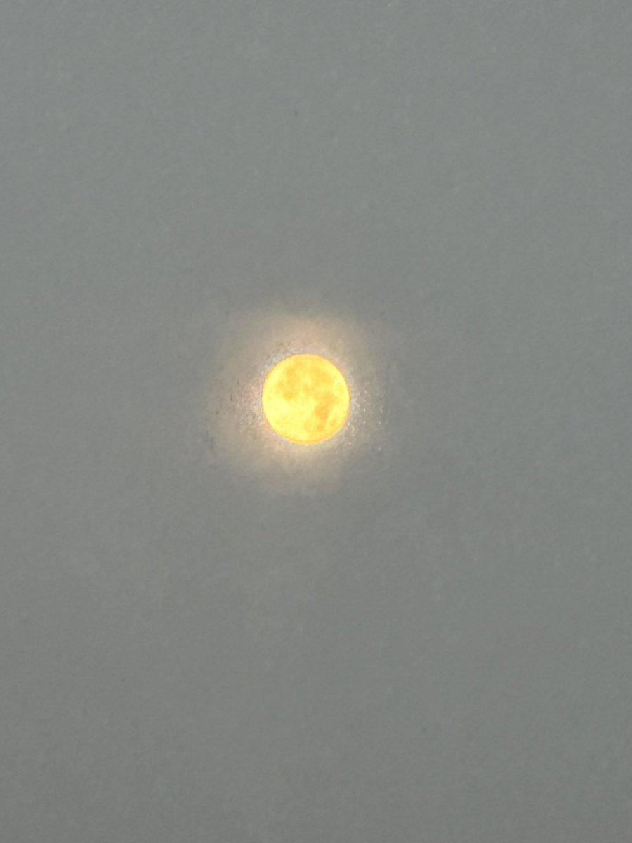 KatlinSB042091's tweet photo. @spann the moon this morning! https://t.co/qpb6aunNHO