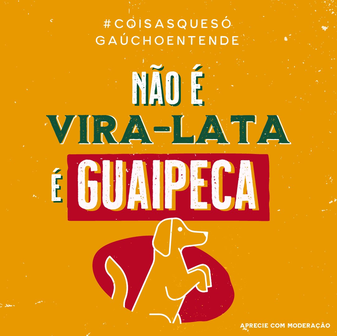 de gauchês a gente entende! 🤣 #BebaComModeração