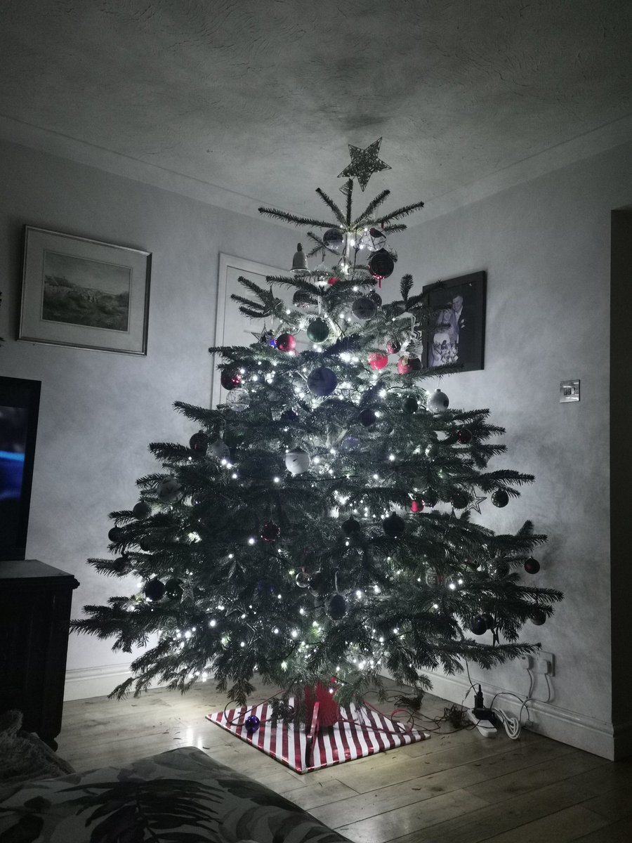 Effielou's tweet photo. Love looking at my tree... https://t.co/gZR0cwWraS