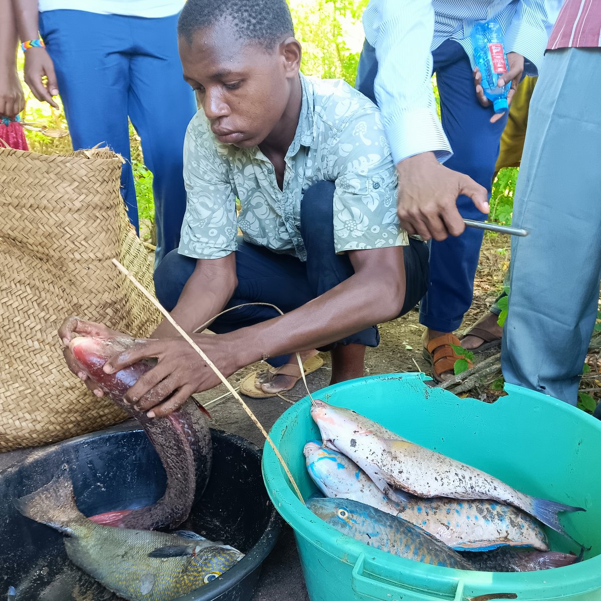 BlueVentures's tweet photo. We visited Mkwiro village on Wasini island, #Kenya, to see the inspiring work the community-led Mkwiro beach management unit is doing to restore #mangroves, manage #fisheries, curb illegal and unregulated fishing, and provide eco-credit services amongst the fishers. @comred_ https://t.co/g66T3sFA7k