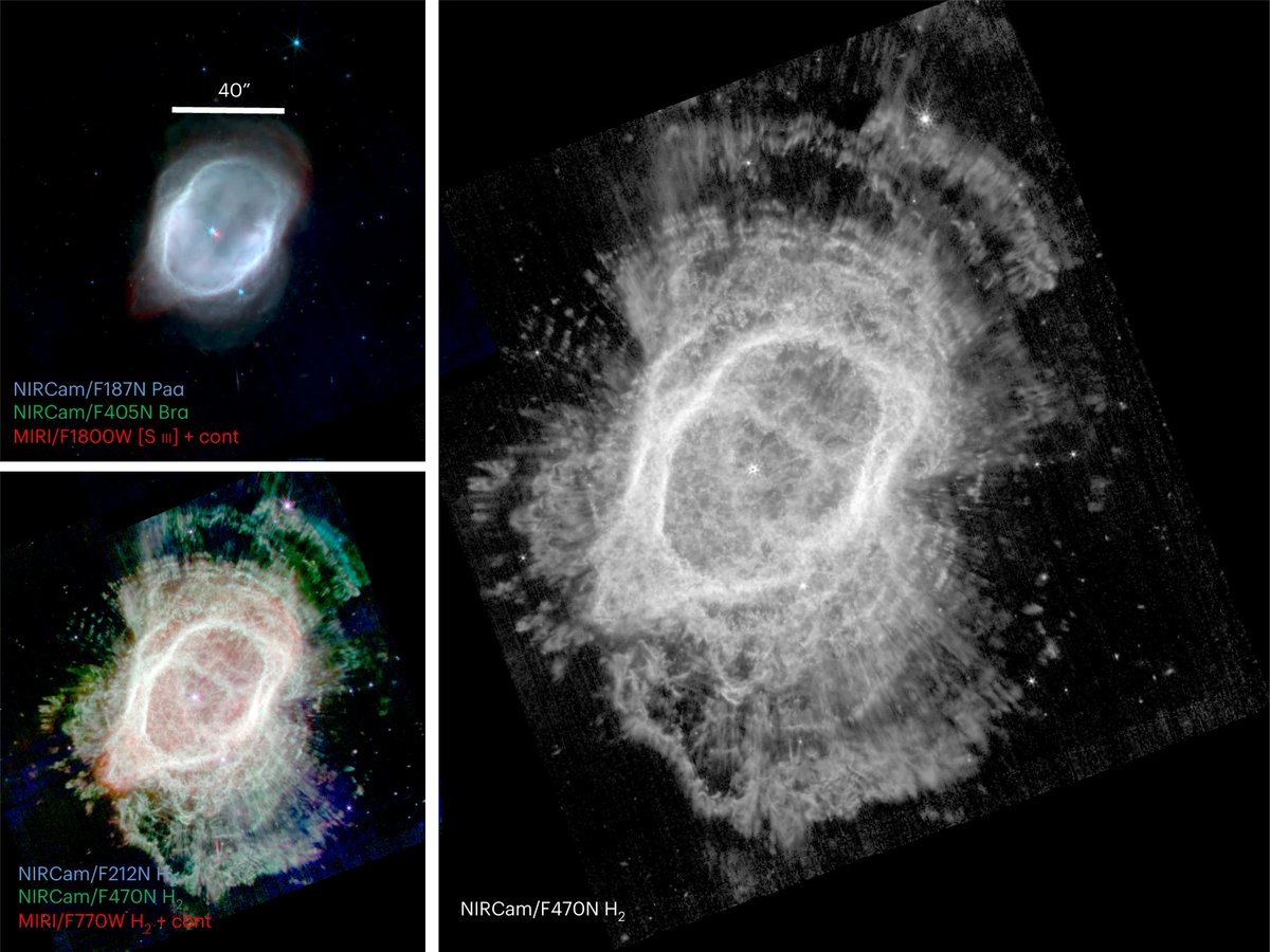 NatureAstronomy's tweet photo. JWST images of planetary nebula NGC3132 show that it hosts at least four stars rather than two! A dusty central disk hides a close binary interaction while there is evidence for two more stars within the nebula. @OrsolaDemarco1 et al.: https://t.co/kUMBejd88D https://t.co/YPU5bs6tCy