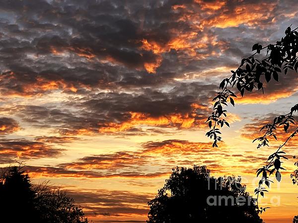 anobid's tweet photo. New artwork for sale! - "December Sunrise" - https://t.co/K0Ys5iKSvj @shoppixels https://t.co/6Tk4YpVdXQ