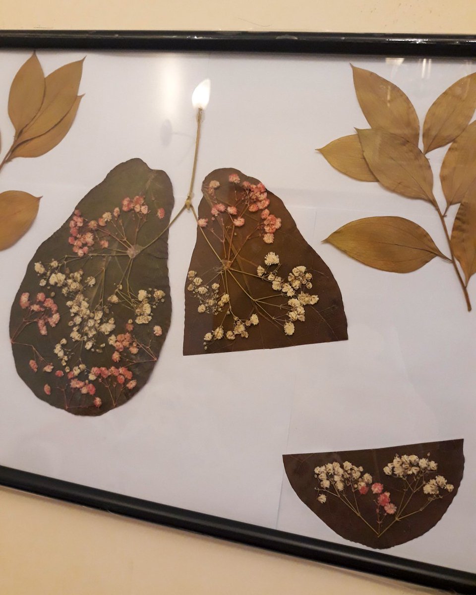 vheacyy's tweet photo. "lung lobectomy" real dried pressed flowers and leaves https://t.co/Vmqr3IpAwF