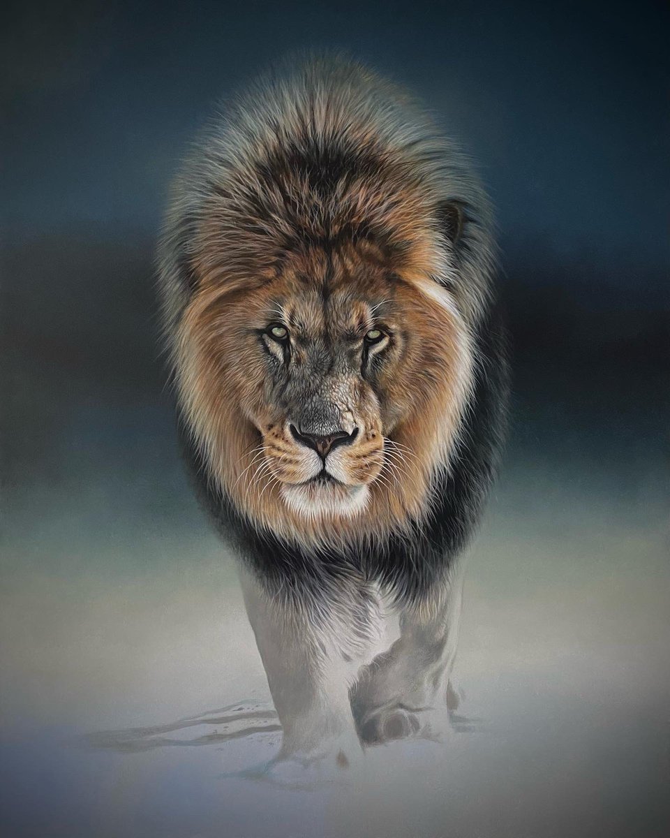 ‘Out of the blue’
Throwback Thursday….acrylic painting on canvas (original sold)

#lionpainting #lion #art #acrylics #artprocess #artist #painting #wildlifeart #africananimals #bigcat