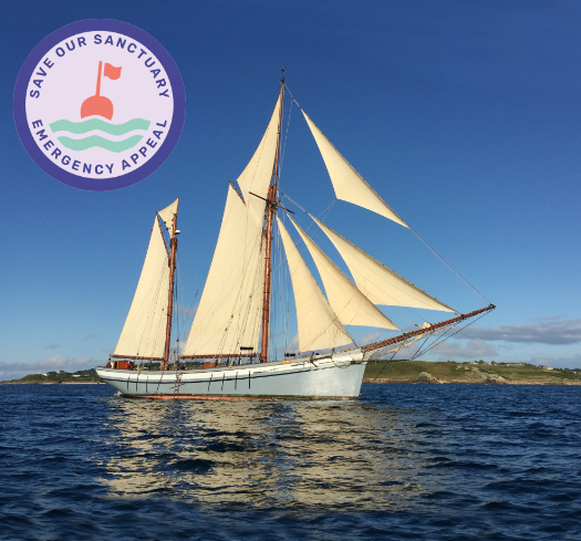 The <a href="/seasanctuaryMH/">Sea Sanctuary</a> needs your help. The Blue Health pioneers need to raise £200,000 by the end of the year to stay afloat.

Find out more here 👉

planetradio.co.uk/pirate-fm/loca…