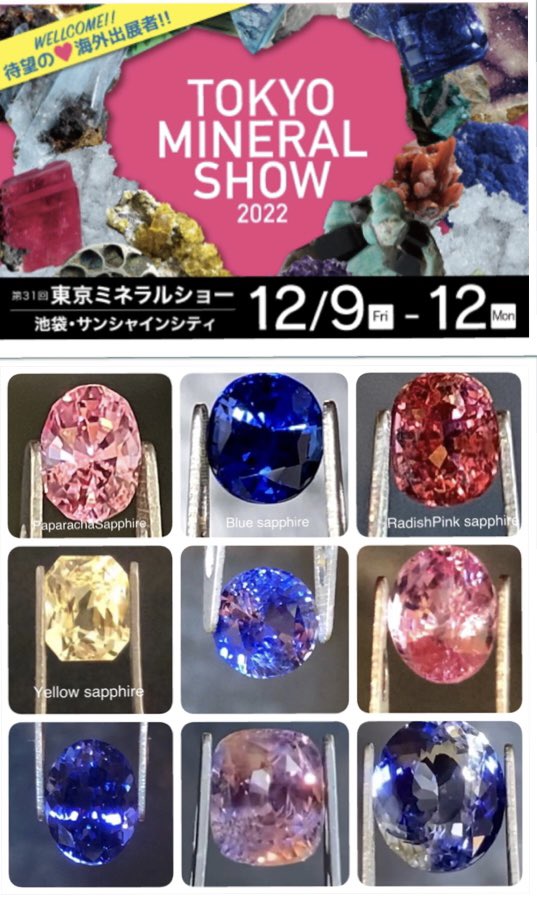 激安正規 ルビー [0.761ct] ルース ルース 鑑別書ソーティング