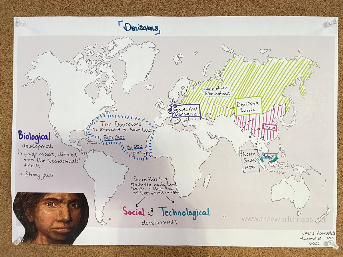 BogaertsSchool's tweet photo. MY1 students at the North Campus inquired into human origins to challenge the idea of whether we actually come from Africa. Students used recent insights to find patterns and deepen their understanding of this subject matter. #BISNorthCampus #BISNorthValues #BISNorthInquiry https://t.co/8EcuDJHEVa