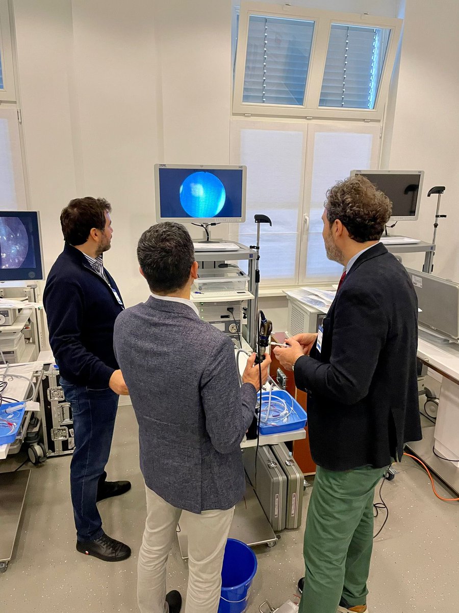 UrowebESU's tweet photo. A glimpse at our experts, collecting valuable data to set the proficiency benchmark for the 2nd step in the Endoscopic Stone Treatment curriculum ESTs2 @aif22 https://t.co/fzCqypdffK