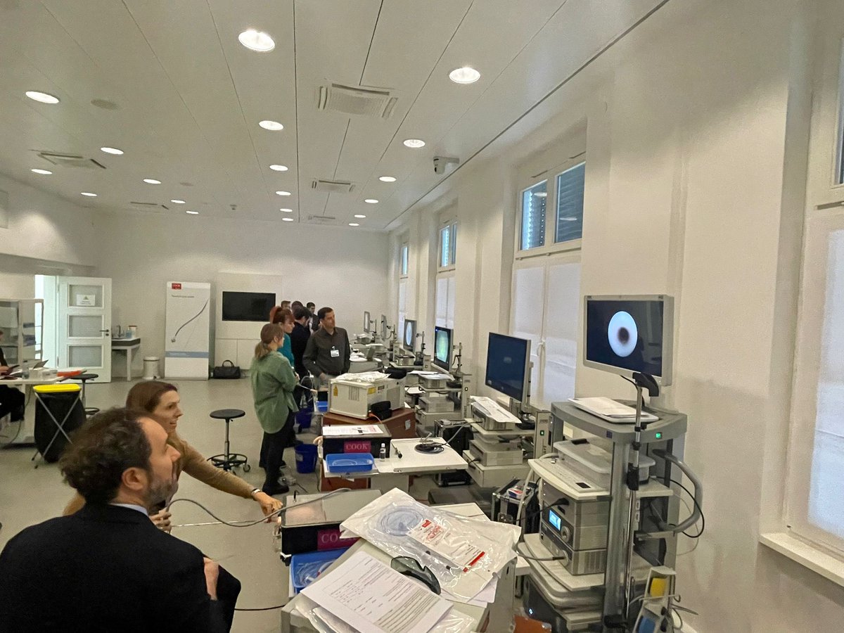 UrowebESU's tweet photo. A glimpse at our experts, collecting valuable data to set the proficiency benchmark for the 2nd step in the Endoscopic Stone Treatment curriculum ESTs2 @aif22 https://t.co/fzCqypdffK