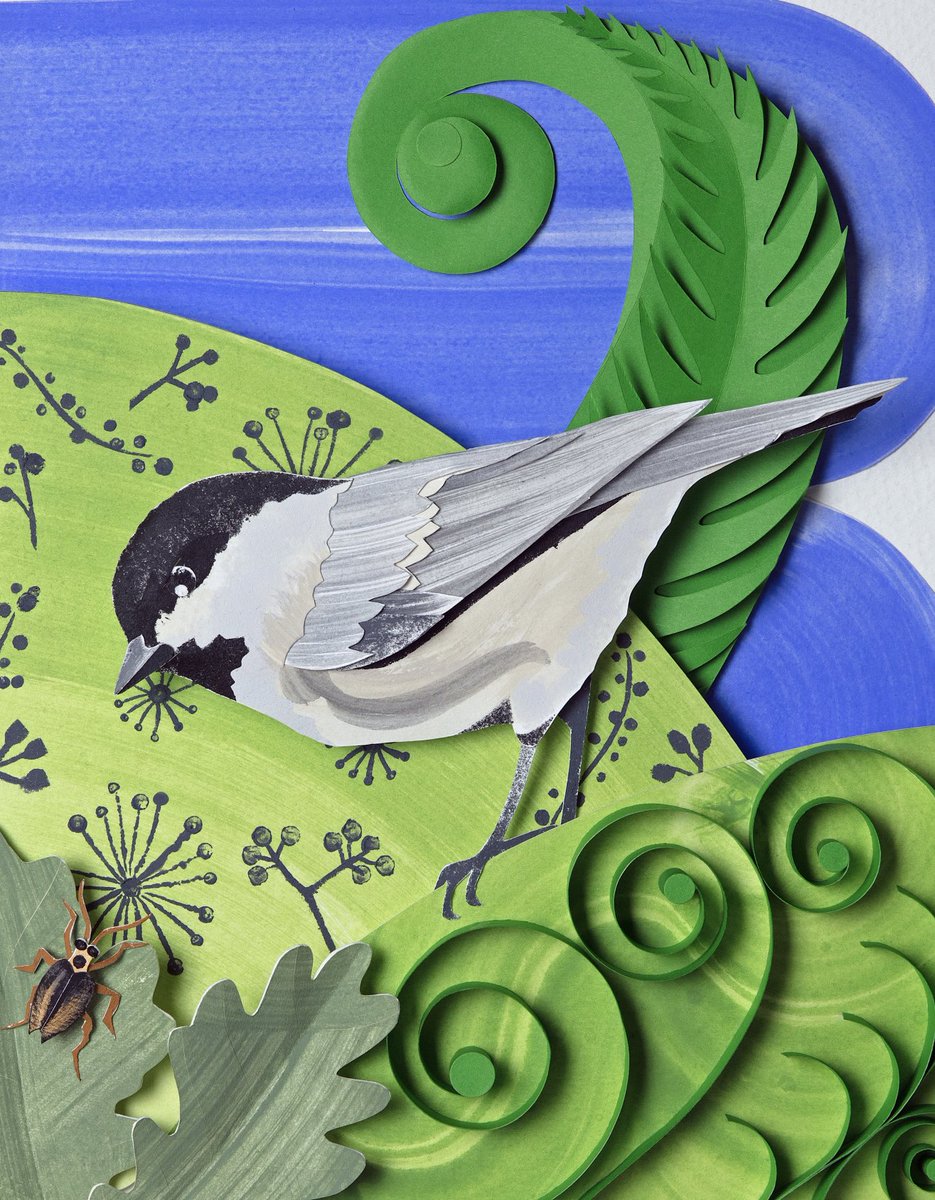 Helen Musselwhite (@paperhelen) on Twitter photo My contribution for <a href="/IntoTheRedBirds/">Into The Red</a> to accompany <a href="/porridgebrain/">Josie George</a> words about the endangered Marsh Tit.
A beautiful book from <a href="/_BTO/">BTO</a> filled with words and art inspired by Britains most vulnerable birds
#6musicart My contribution for <a href="/IntoTheRedBirds/">Into The Red</a> to accompany <a href="/porridgebrain/">Josie George</a> words about the endangered Marsh Tit.
A beautiful book from <a href="/_BTO/">BTO</a> filled with words and art inspired by Britains most vulnerable birds
#6musicart