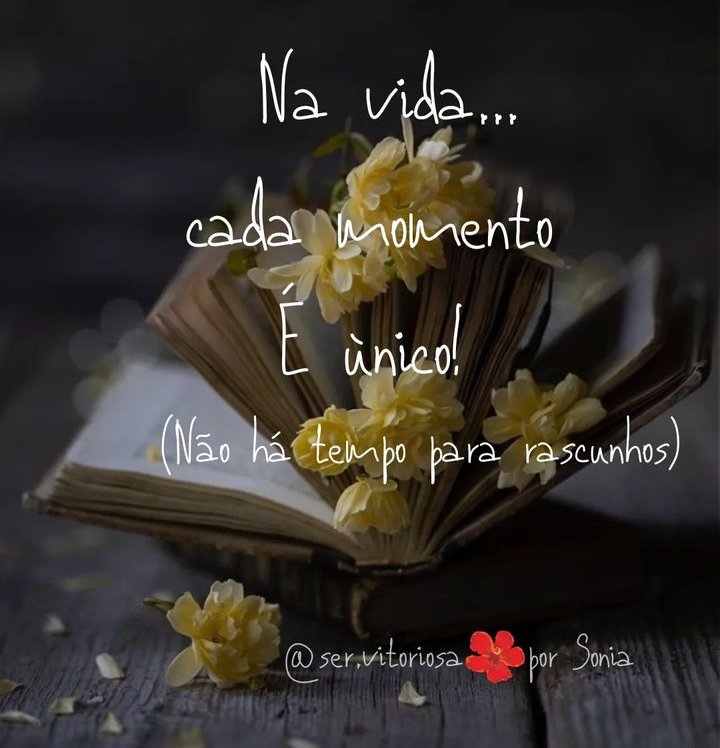 AOV2020's tweet photo. Reflexão do Dia 08/12/22 https://t.co/dzgQHdAhak