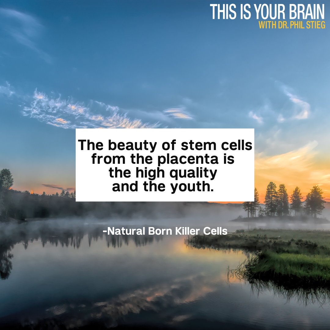 DrPhilipStieg's tweet photo. What's unique about #stemcells?
They keep the full transcribable #genome active and available. In #maturecells, there is only a fraction of that information.
Learn more on #ThisIsYourBrain With Dr. Phil Stieg: https://t.co/azGpFClyXt
#podcast #aging #disease #healthcare https://t.co/cysHPU8yrg