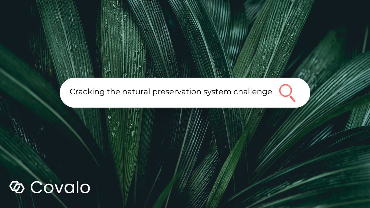 join_covalo's tweet photo. One of the #challenges when it comes to presservation systems is that synthetic preservatives may kill #microbiome bacteria, thus affecting the skin. SYNERGIO's BiomEco™ protects the #skinmicrobiome while guaranteeding the product's shelf life: https://t.co/1TrkUu2OF1 #skincare https://t.co/z3igDdrQH4