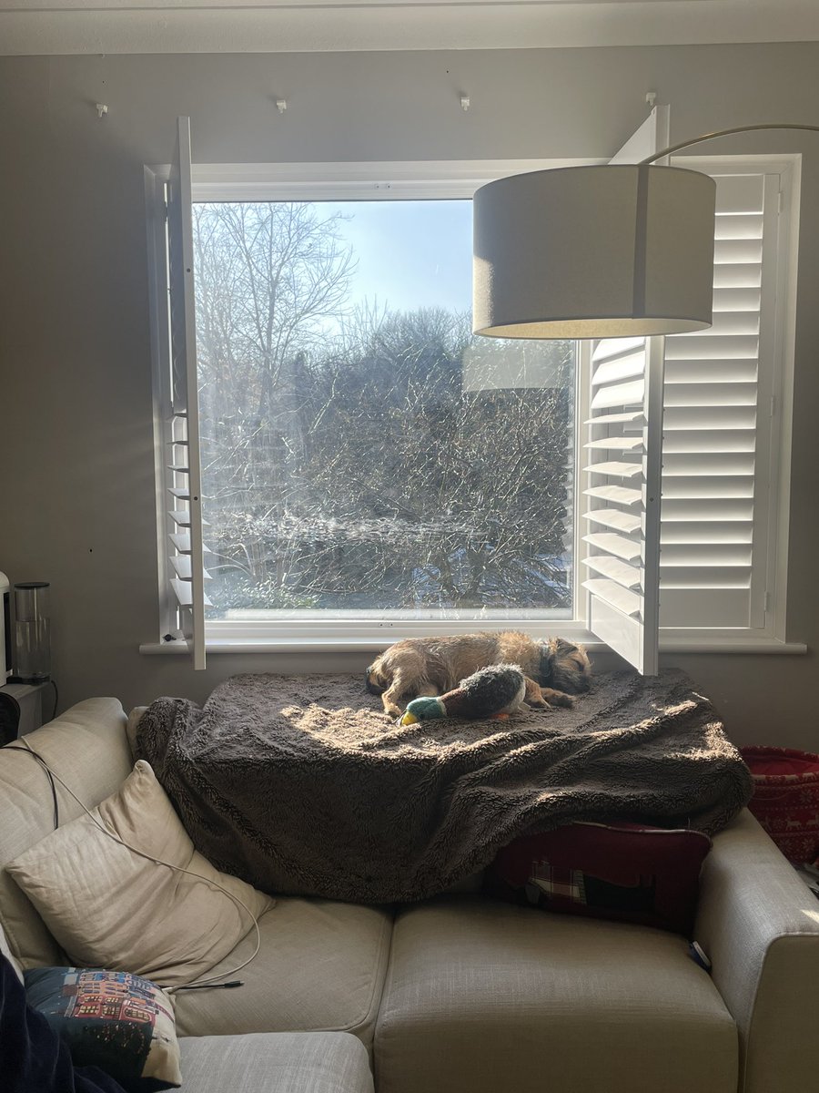 I loves my MDF perch #btposse