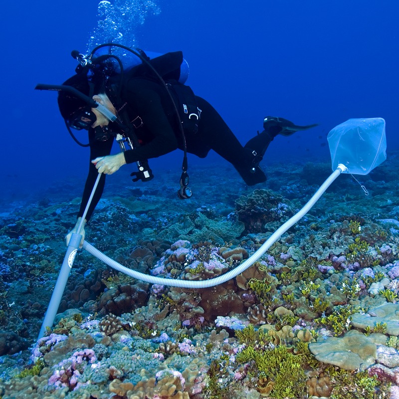 commonwealthsec's tweet photo. The #Commonwealth #BlueCharter is honoured to continue as an official #EarthshotPrize nominator and kickstart the search for the 2023 @EarthshotPrize winners!

If you know of an innovative solution to the world’s most extraordinary challenges, complete our nomination form ⤵️