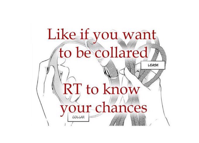 It's super hot to be dragged around on a collar by Rebecca.

Source: Trust me

((Rp accounts only))