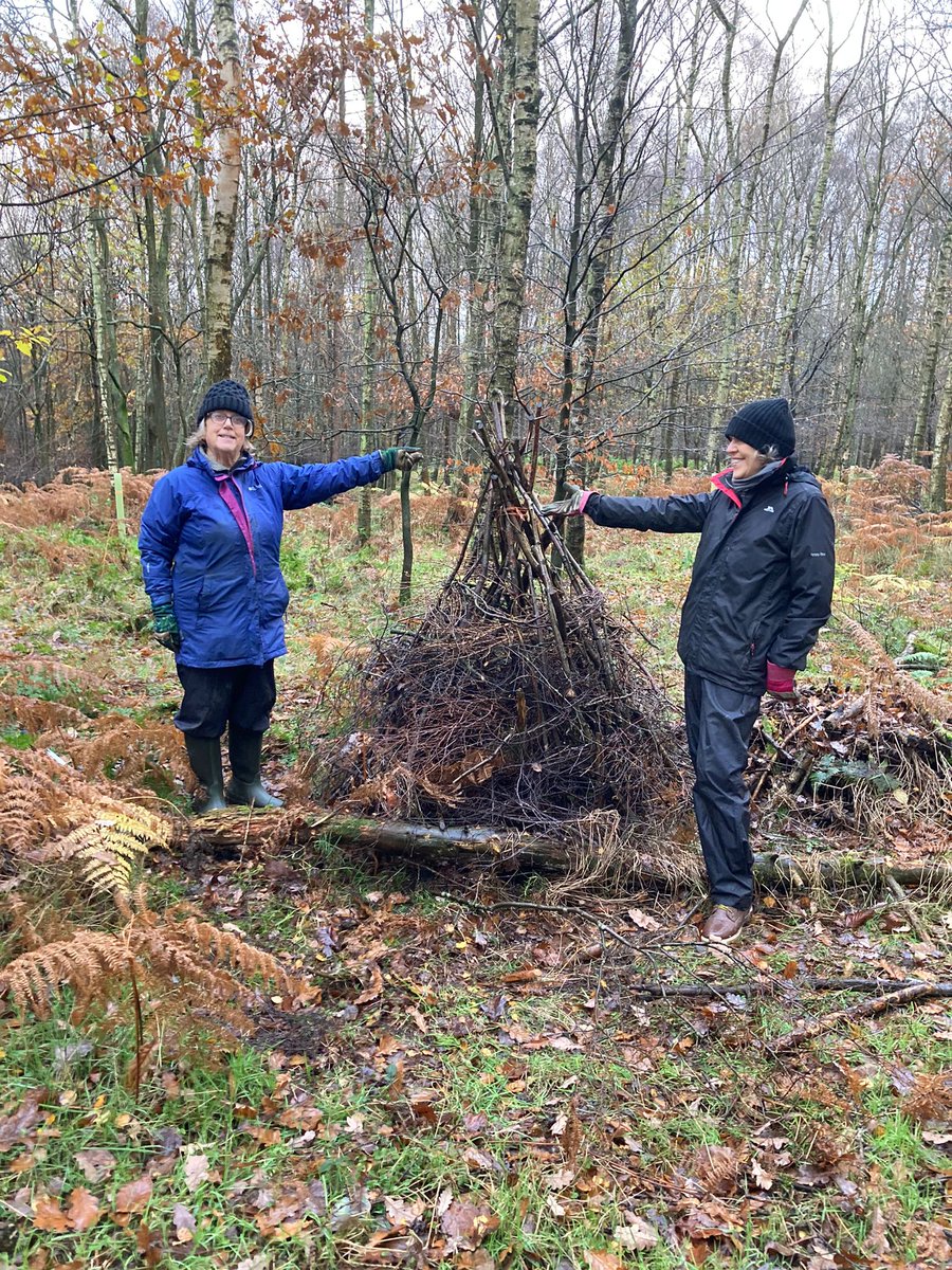 Wonderful #Rekindle volunteer day in Priestfield Woods coppicing hazel, protecting cut hazel stumps from deer browsing, creating glades, sorting wood poles for charcoal/further use, plus checking the planted oaks on grow tubes and repairing other hazel coppice deer ‘enclosures’.