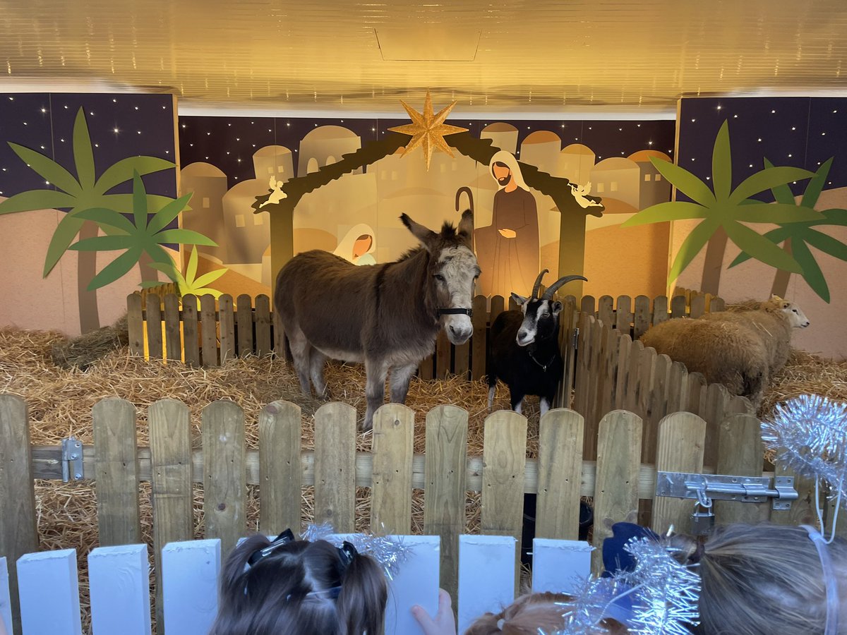 LouPhelan's tweet photo. This years live animal crib is officially open to the public at St. Stephen’s Green. The @opwireland and @IFAmedia unveiled it this morning at the ‘Summer House’ kiosk. https://t.co/5BZXgXwmGG