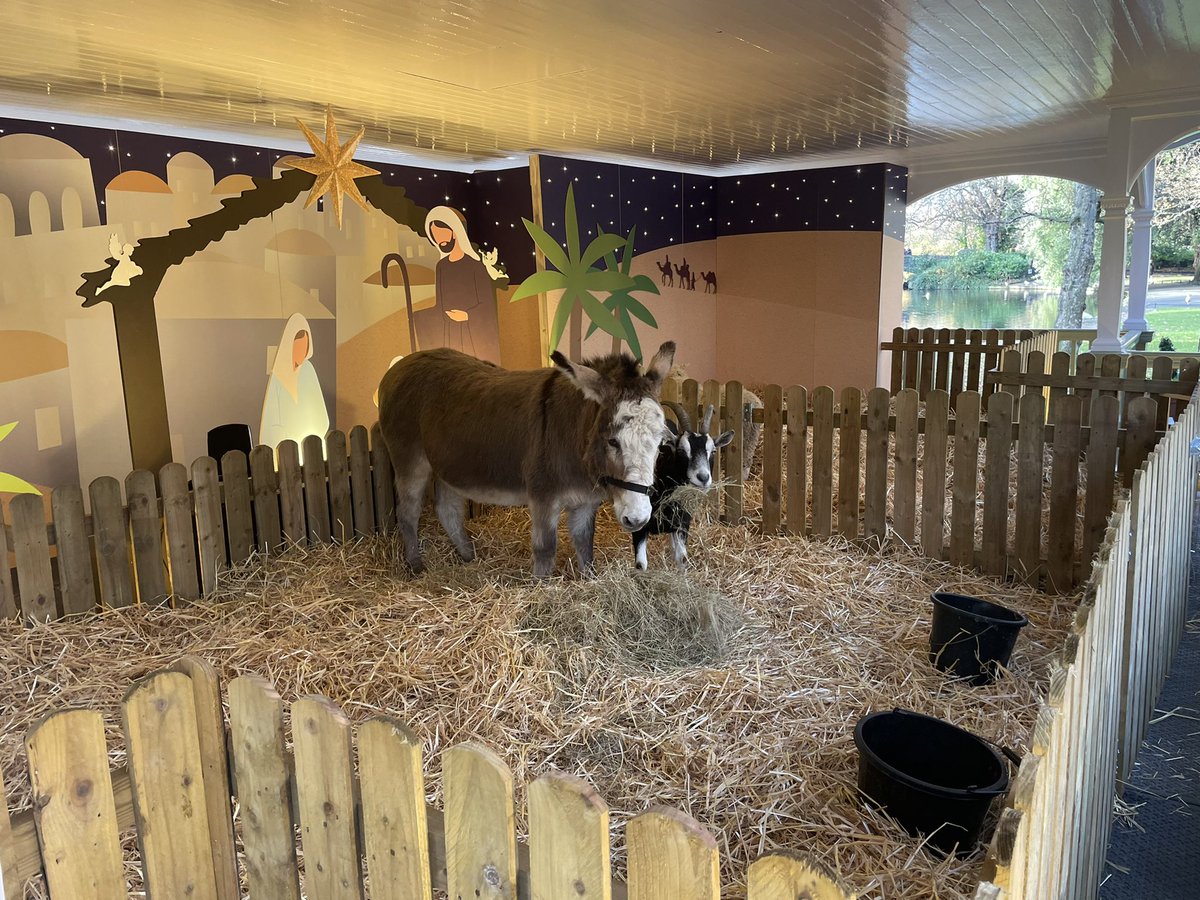LouPhelan's tweet photo. This years live animal crib is officially open to the public at St. Stephen’s Green. The @opwireland and @IFAmedia unveiled it this morning at the ‘Summer House’ kiosk. https://t.co/5BZXgXwmGG