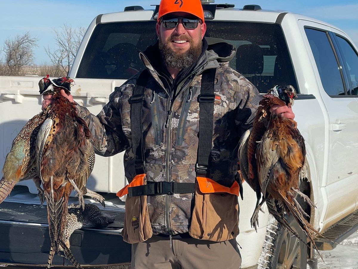 Fist full of Roosters!
