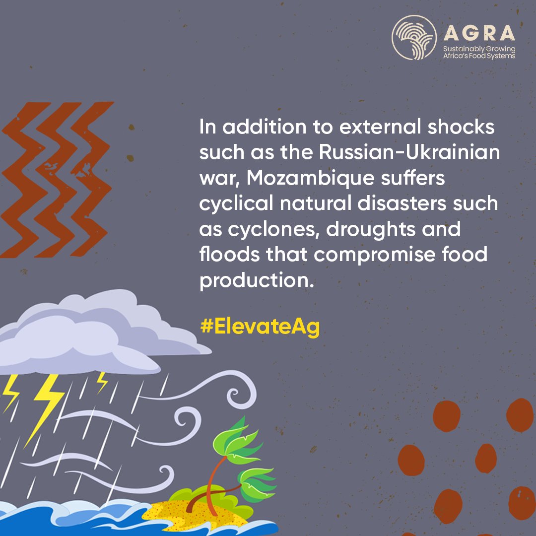 263Chat's tweet photo. Food security in Mozambique
#ElevateAg https://t.co/MwByoVMI1r