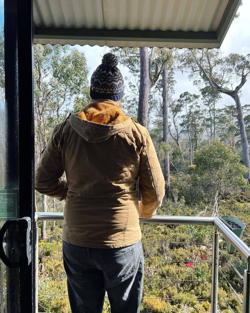 Libla_94's tweet photo. An eclectic mix of photos from our travels from Cradle to Launceston. The day started with snow and ended with peacocks. Obviously. 🦚 https://t.co/twenVuPTK8 https://t.co/YU3oEhp4yS