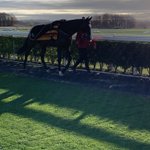 Photo by Rose Dobbin Racing (@hazelriggracing)
