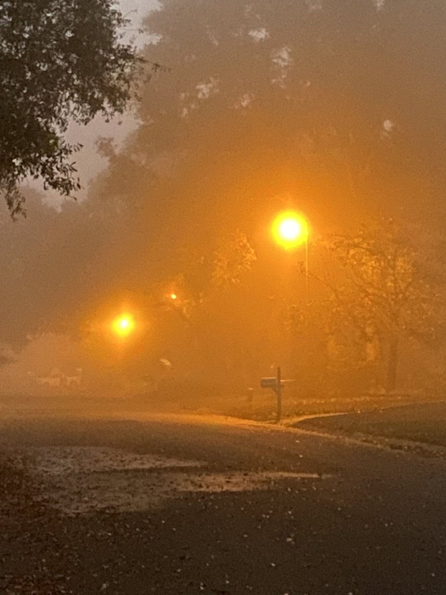 65 degrees and 💯 fog with ⁦@Lisa_teagirl62⁩ .  Couldn’t see but a few steps in front of us.  WAY better than snow. Just sayin 🤷🏻‍♀️.  #UWFVB #5Before6 #WeRunForCupcakes #Soaked #FitLeaders #Goals