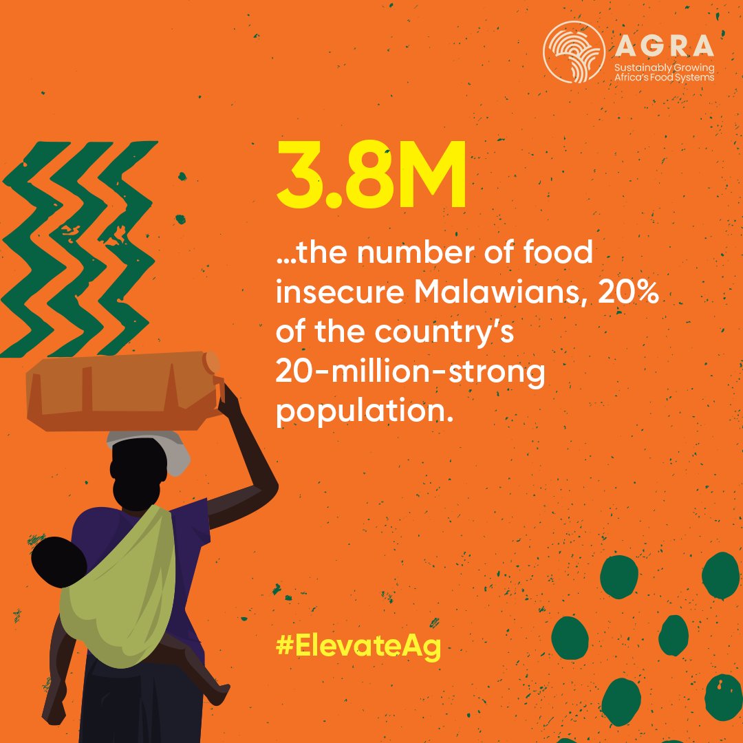 263Chat's tweet photo. Agriculture in Malawi
#ElevateAg https://t.co/jRAosctHji