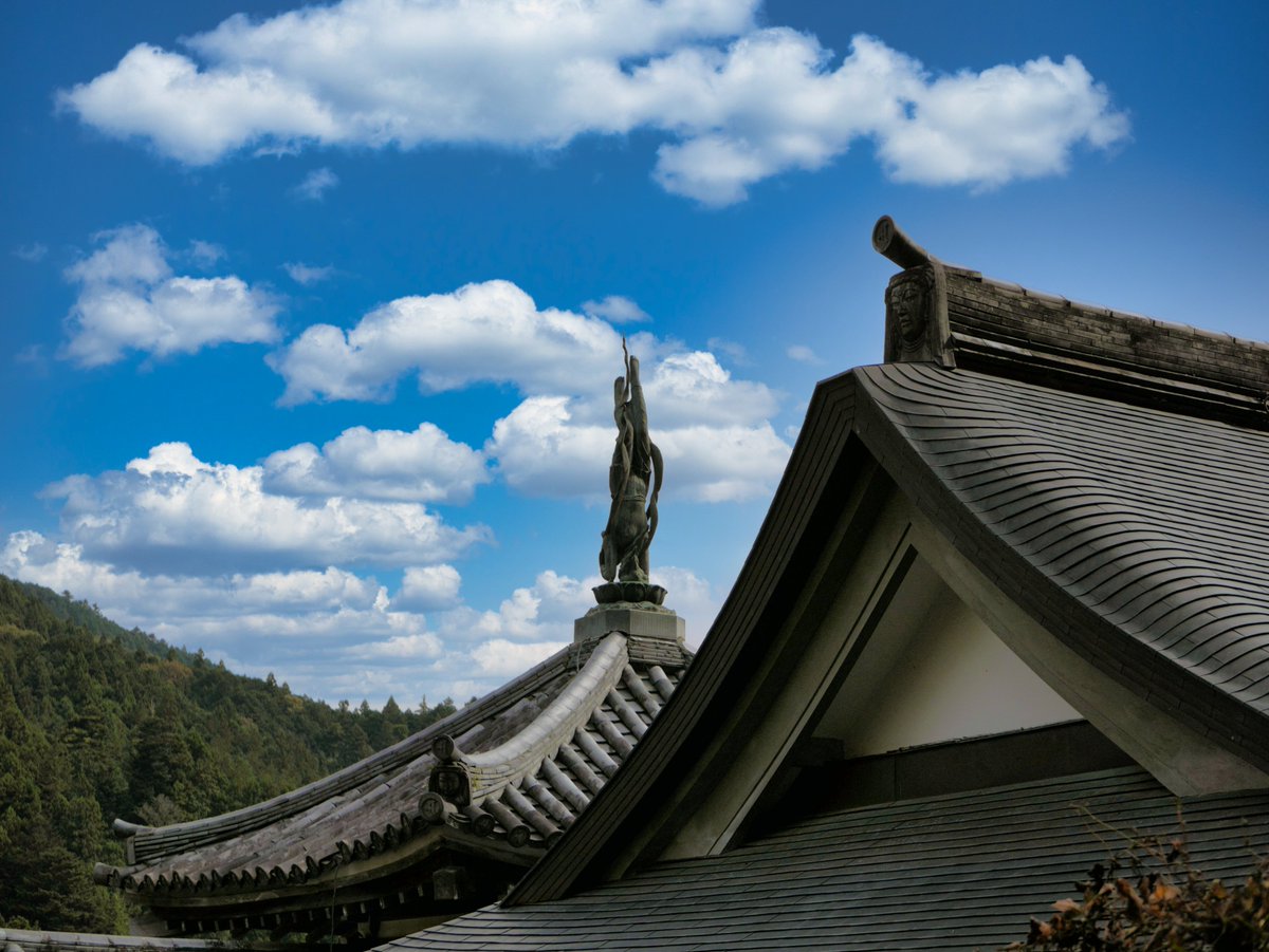 MOONSTO71692245's tweet image. 2026Wカップは3カ国共催
カナダ、メキシコ、アメリカ
48チーム参加の大会になるそうです。

もう始まってます💨⚽️
次こそはやって貰いましょう！
日本🇯🇵🏆✨
#Wカップ　#Wordcup2022