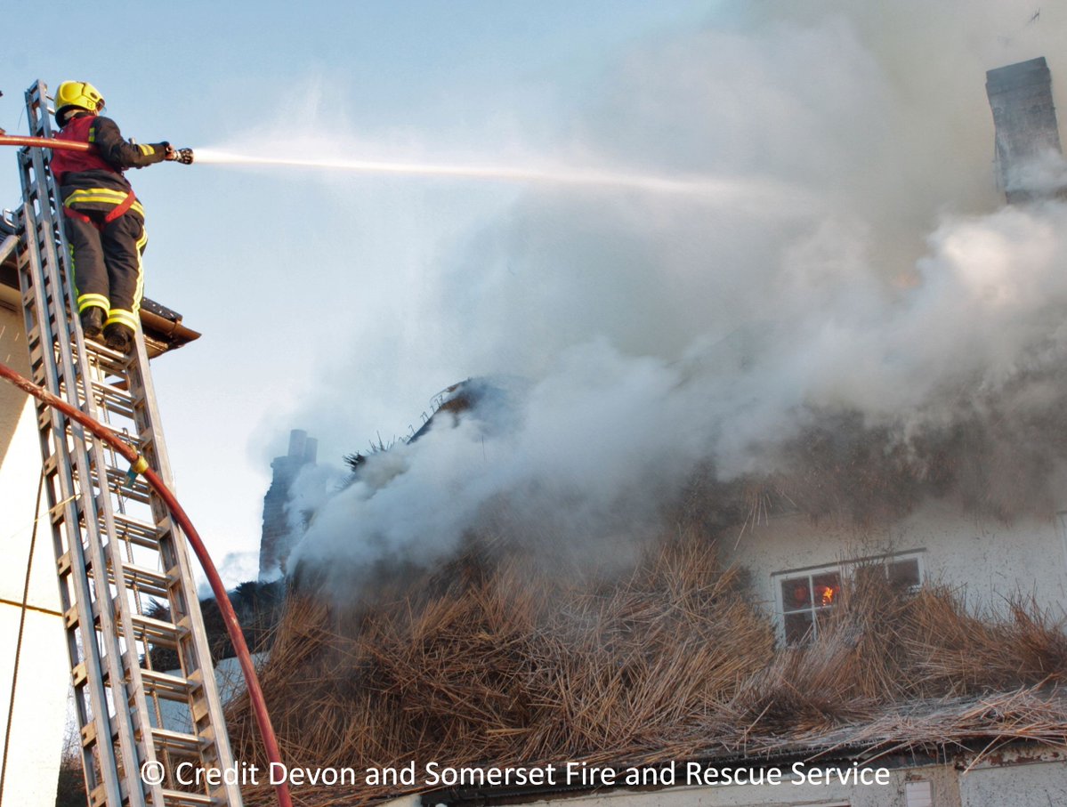 Thatch Advice Centre tweet media