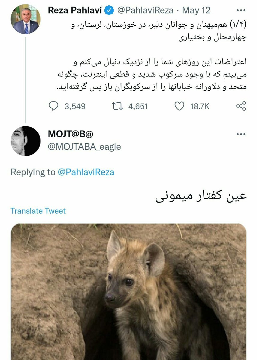 Mostafa Heydari tweet media