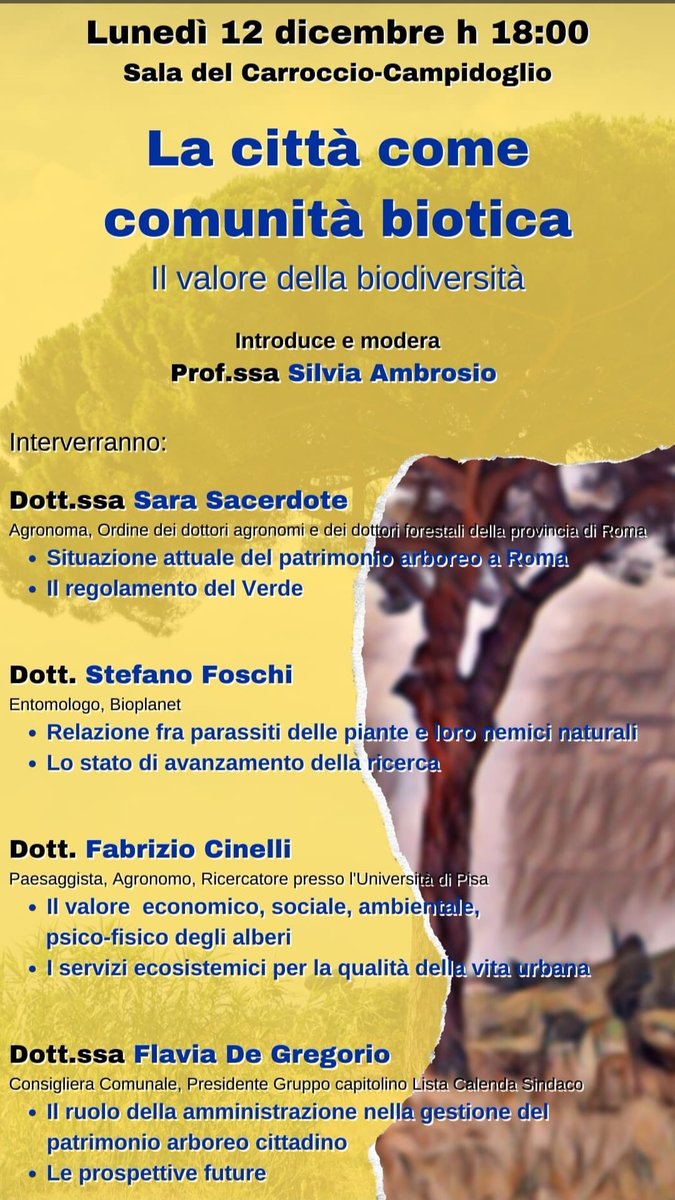 NoviSimona's tweet photo. 🌳La relazione tra l'uomo e l'ambiente nella realtà urbana e periurbana🌲 
@FlaviaDegreg capogruppo @CalendaSindaco al Comune Roma e @SilviaAmbrosio4, assessore ombra Ambiente di @Azione_it ,ne discutono con esperti Lunedì 12 Dicembre 2022 nella sala del Carroccio
#romasulserio https://t.co/fio4OjSG2o