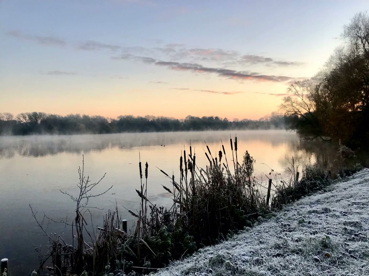 Bathgate Horticulture tweet media