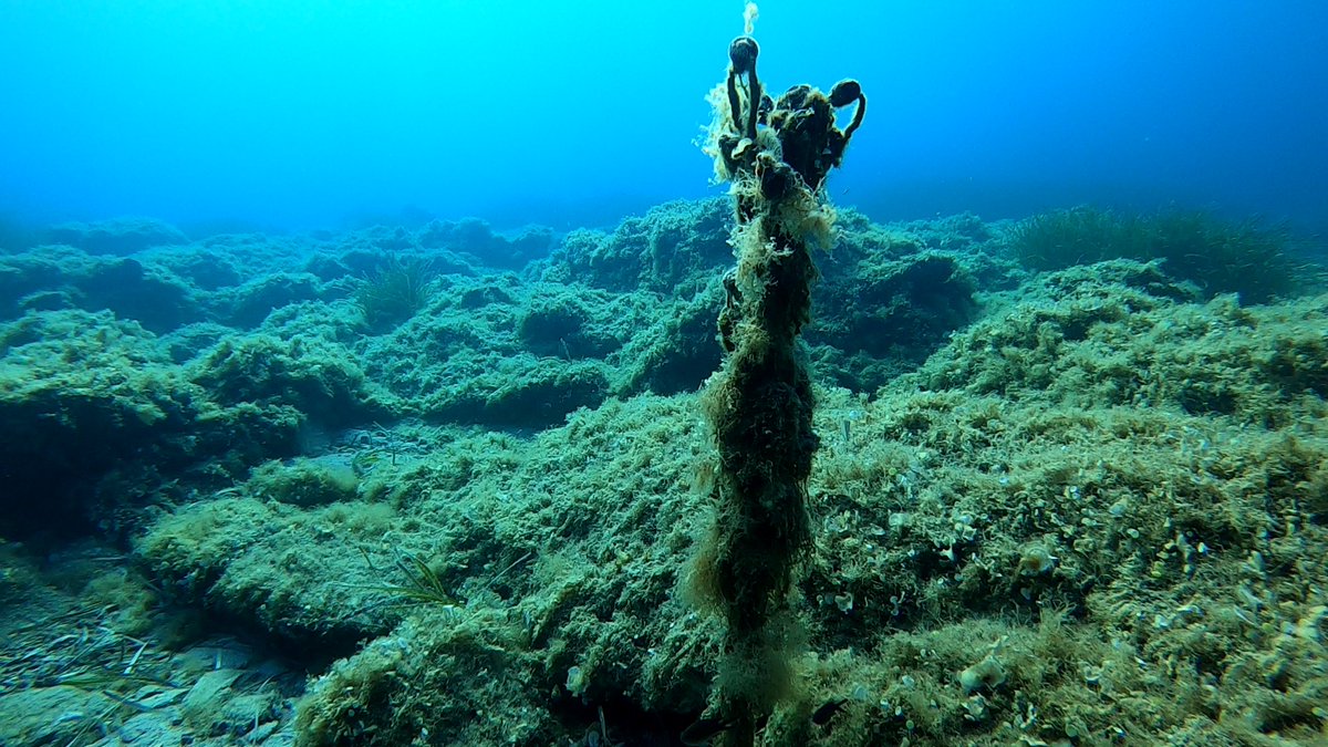 solomilne's tweet photo. #GhostGear is incredibly hard to track. Once its at the bottom of the sea, you have to be right on top of it!
That's why we're getting creative with the way we search for it. (1/4)
https://t.co/BXwovBCi0Q https://t.co/xWvEOijly8